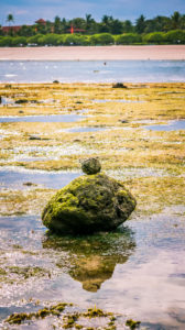 Zen-like Stones Covered with Moos on Beach during Low Tide, Nice Water Reflection, Nusa Dua, Bali, Indonesia. Zen-like Stones Covered with Moos on Beach during Low Tide, Nice Water Reflection, Nusa Dua, Bali, Indonesia.